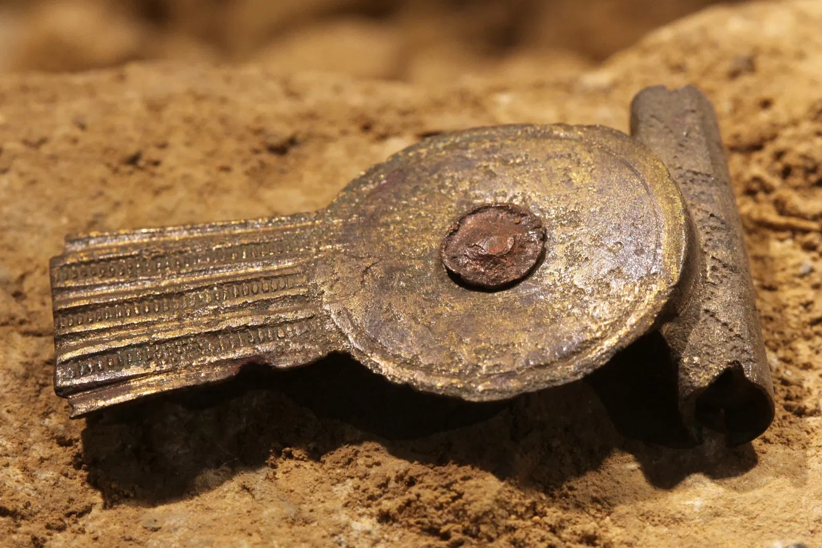 Roman Museum Lausanne-Vidy