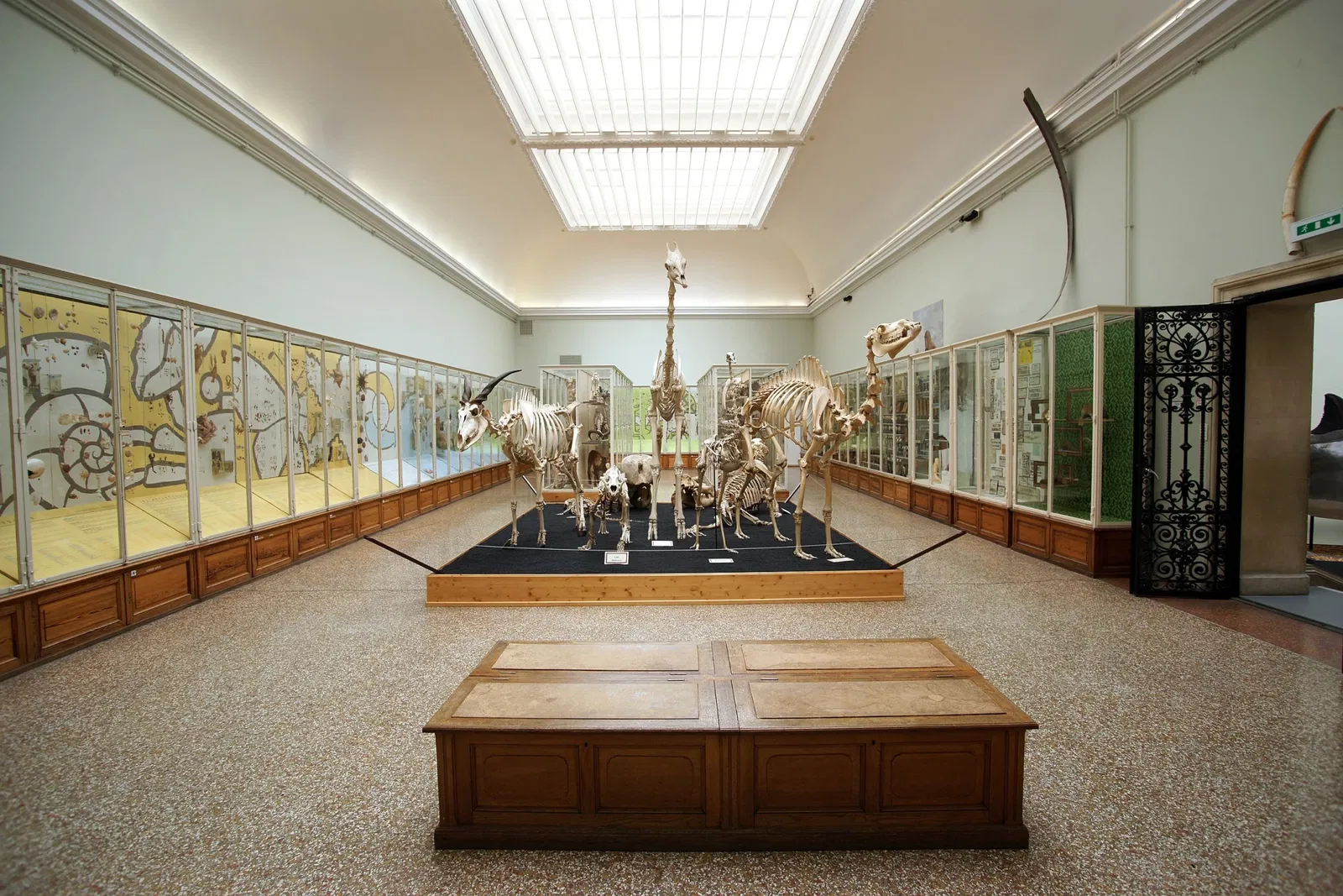 Museo cantonale di zoologia