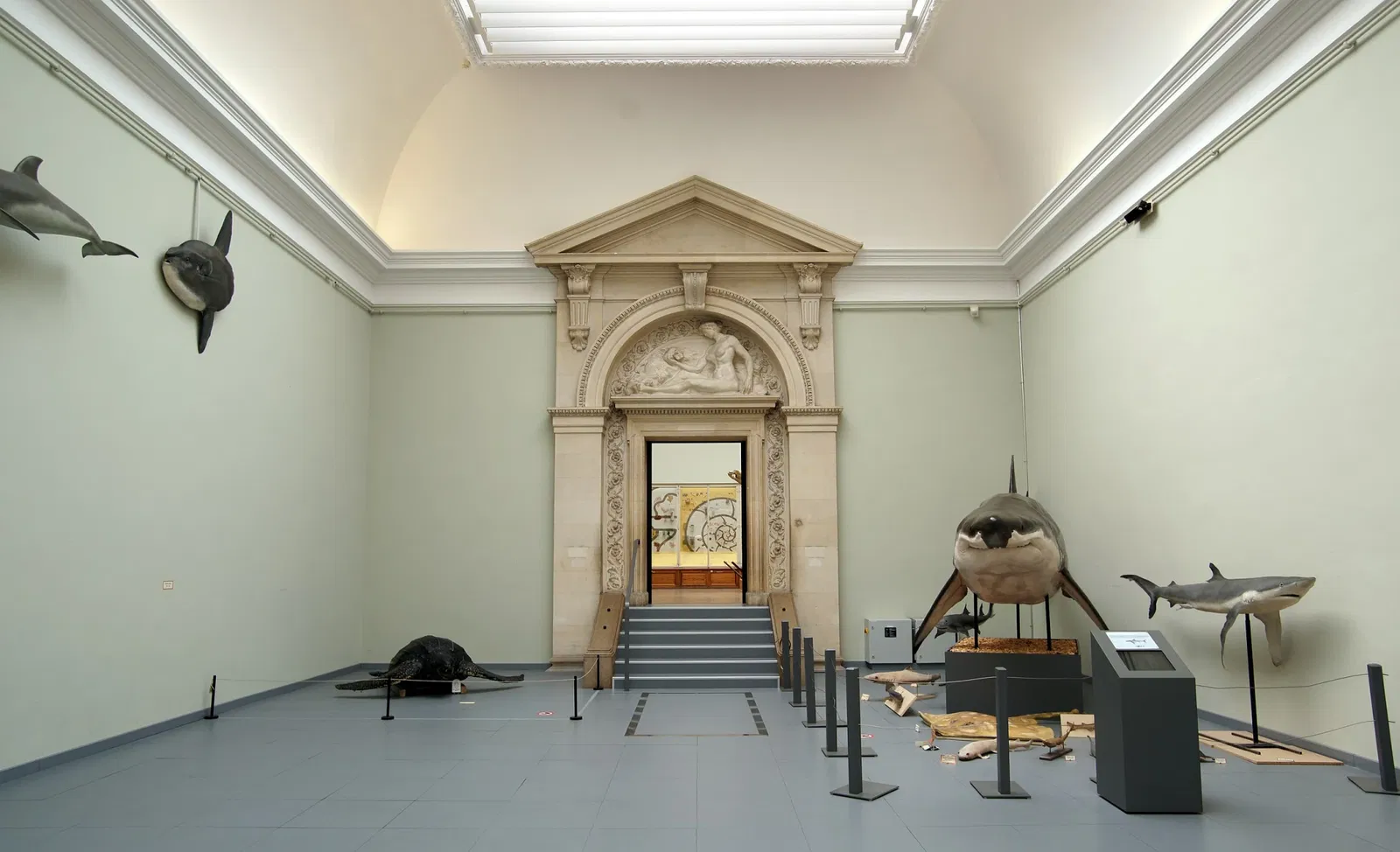 Kantonales Zoologiemuseum