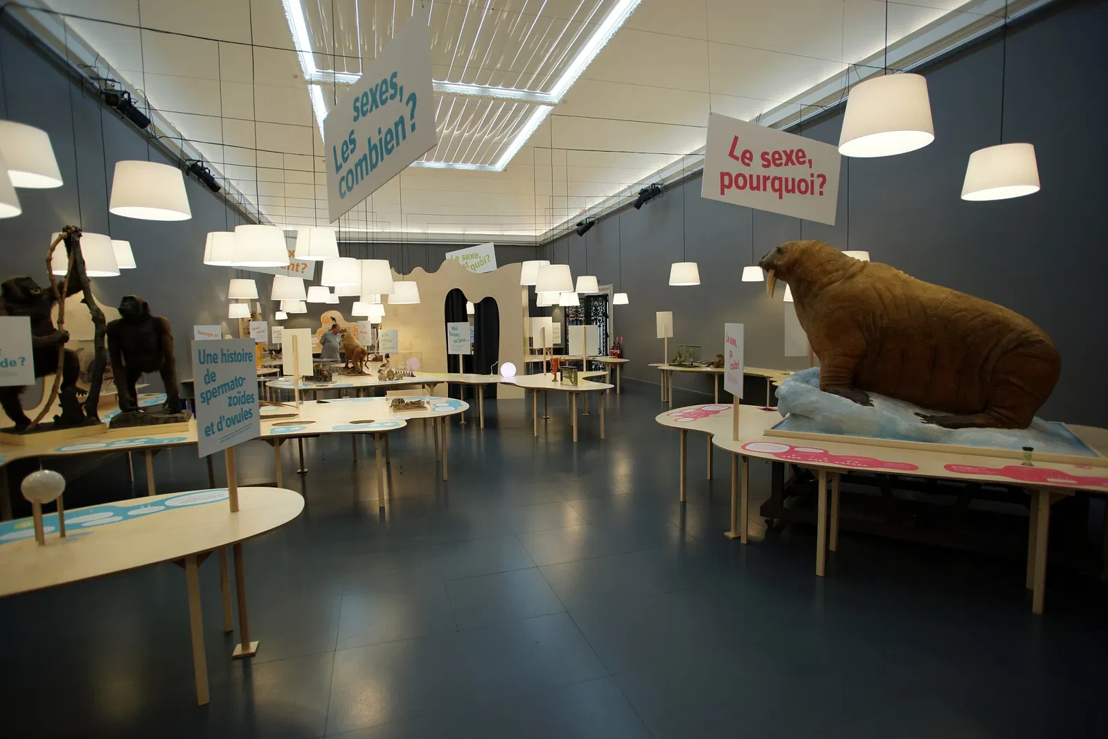 Kantonales Zoologiemuseum