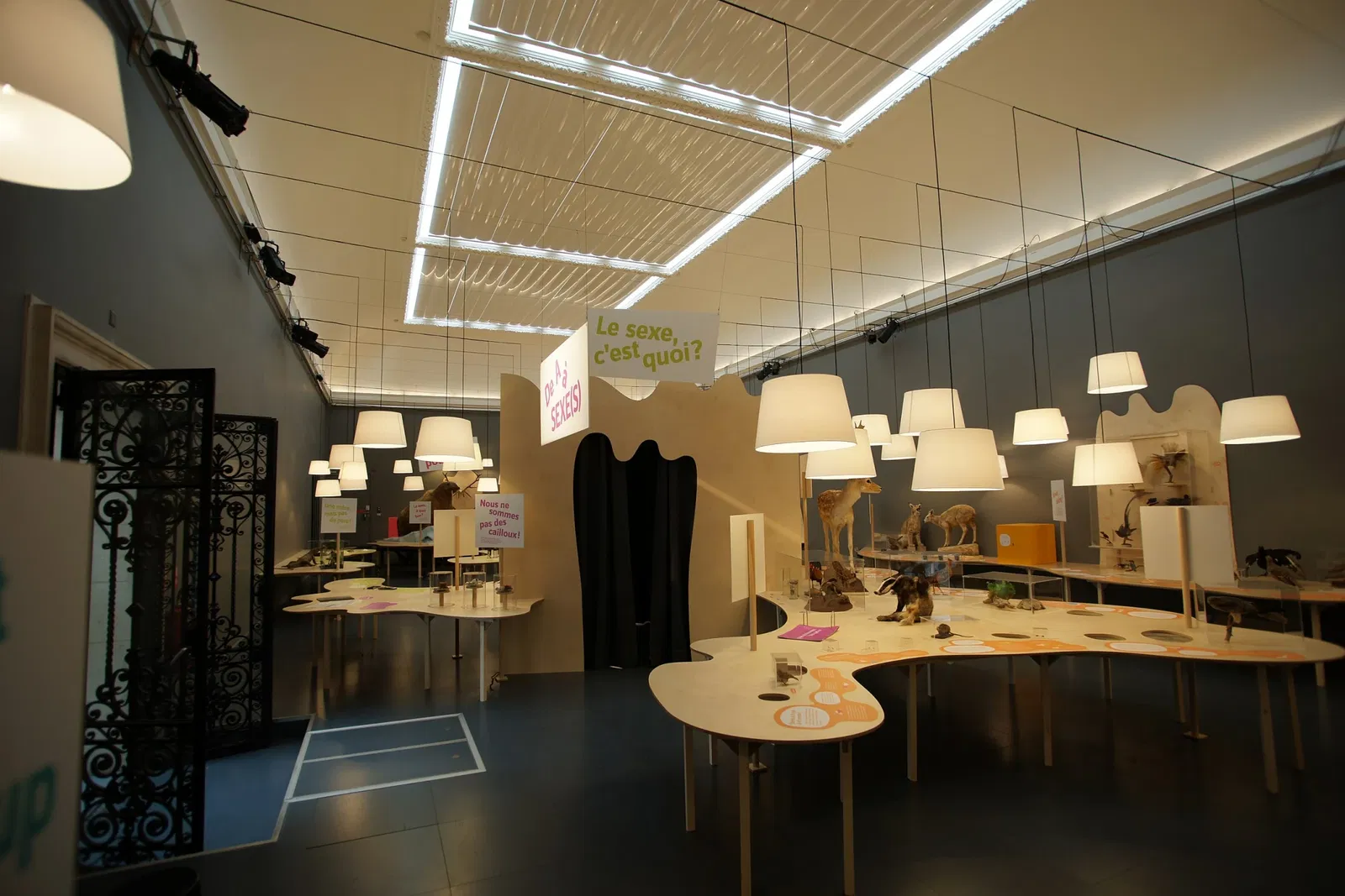 Cantonal Museum of Zoology