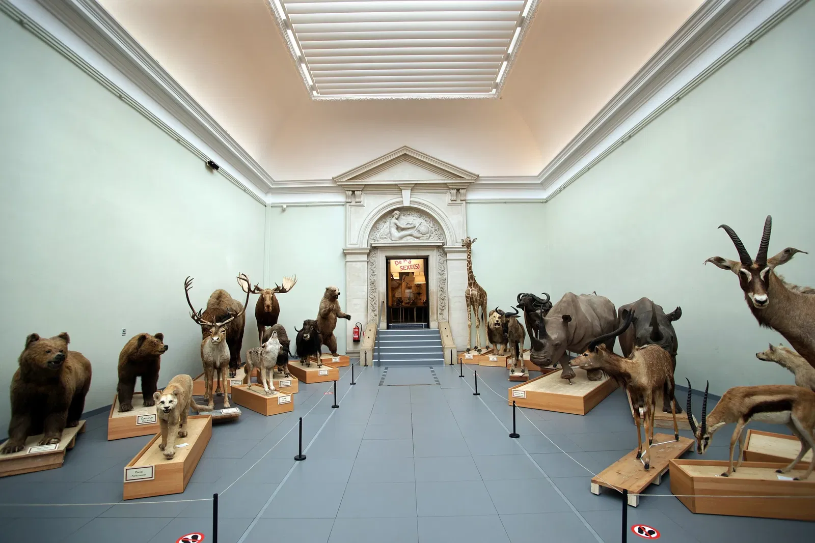 Museo cantonale di zoologia