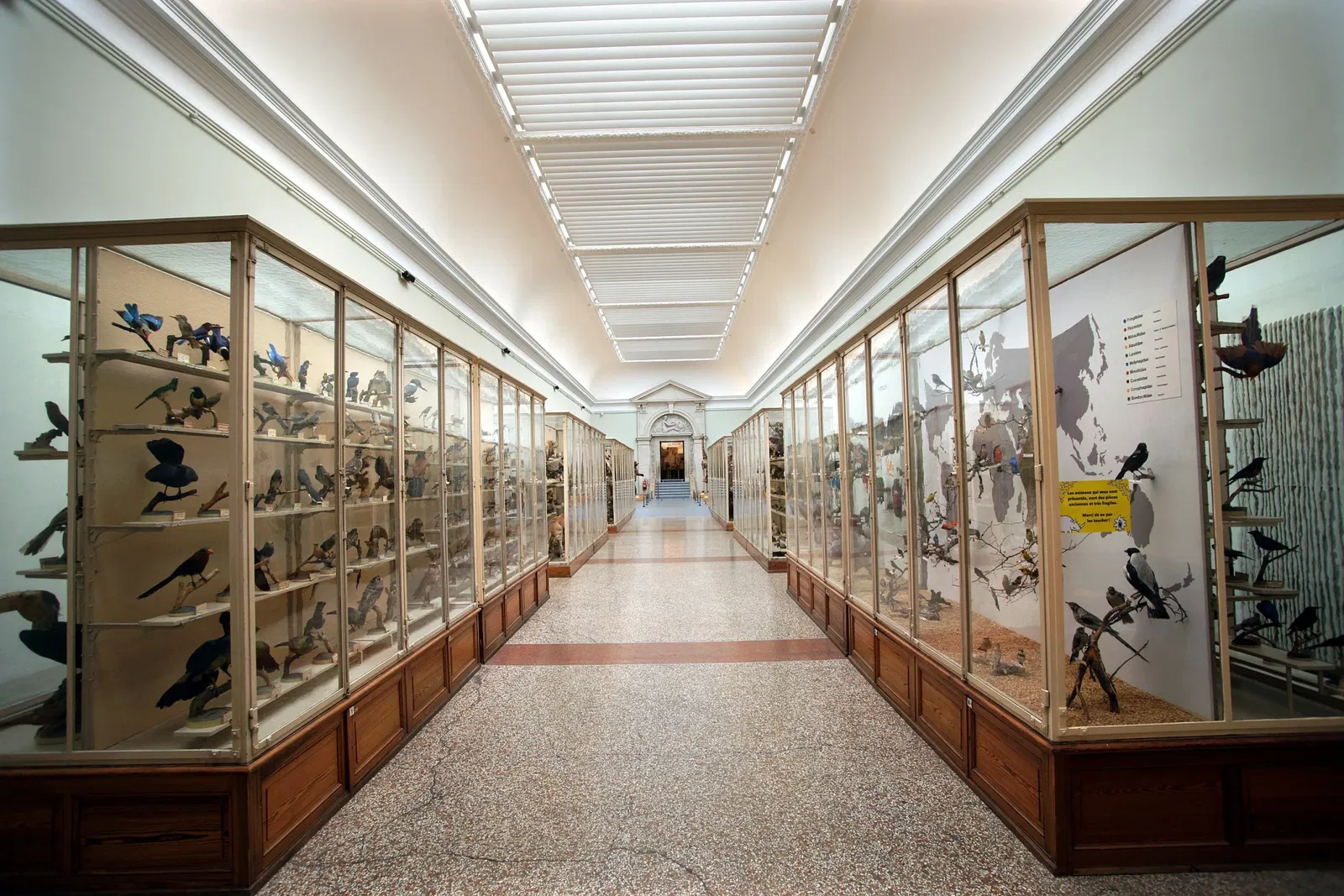 Cantonal Museum of Zoology