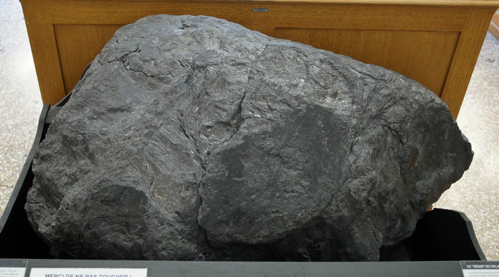 Kantonales Zoologiemuseum