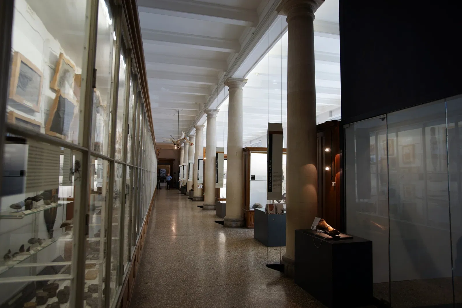 Museo cantonale di zoologia