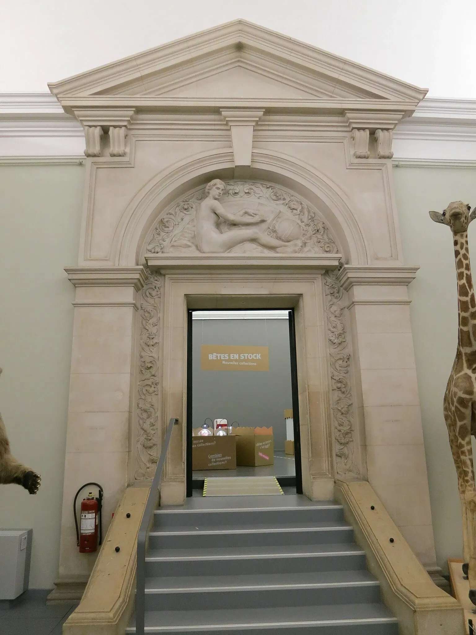 Kantonales Zoologiemuseum