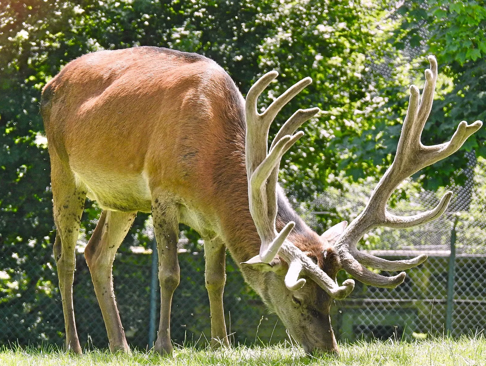 Wildpark Peter und Paul