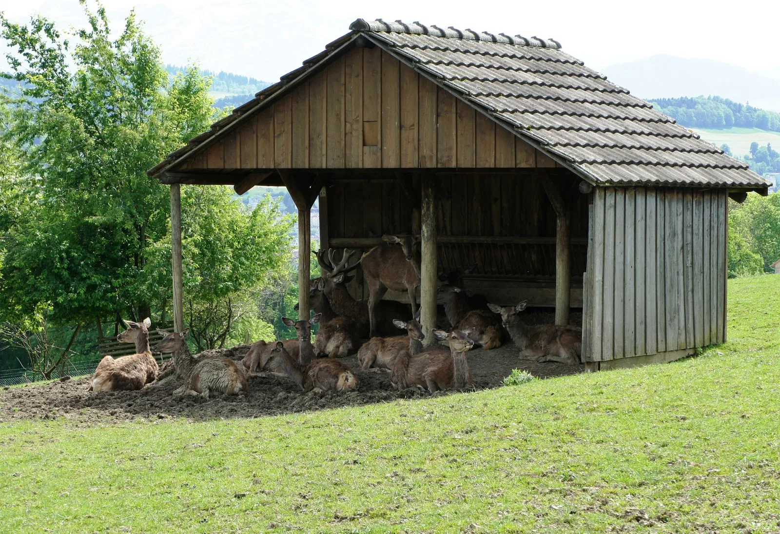 Wildpark Peter und Paul
