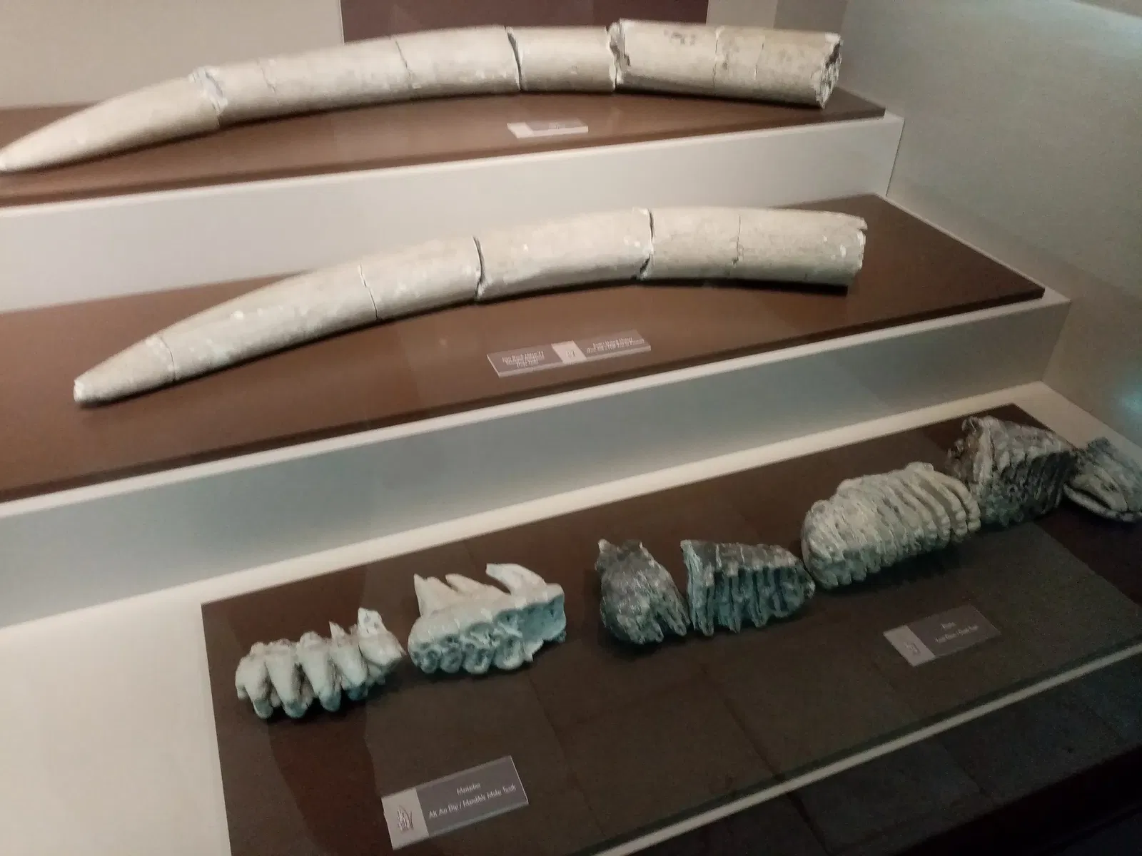 Eskişehir Eti Archaeology Museum