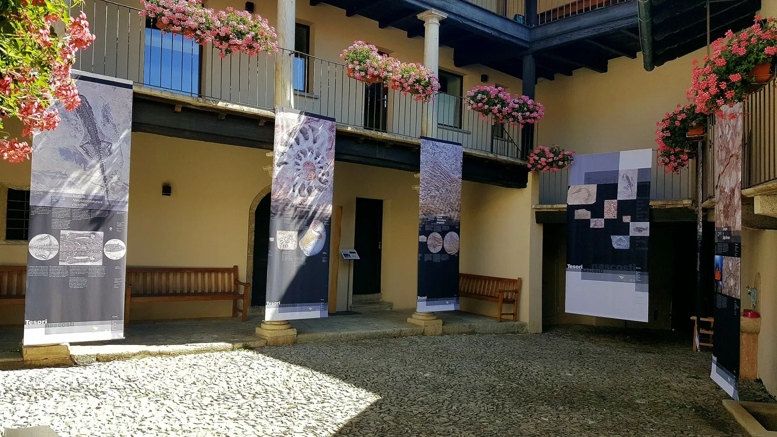 Museo dei fossili del Monte San Giorgio