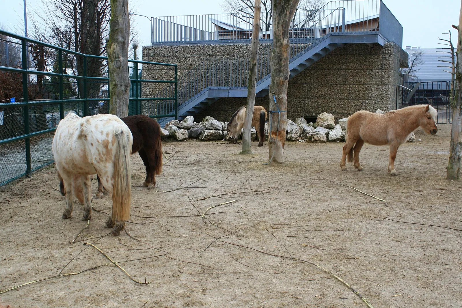 Knie's Kinderzoo