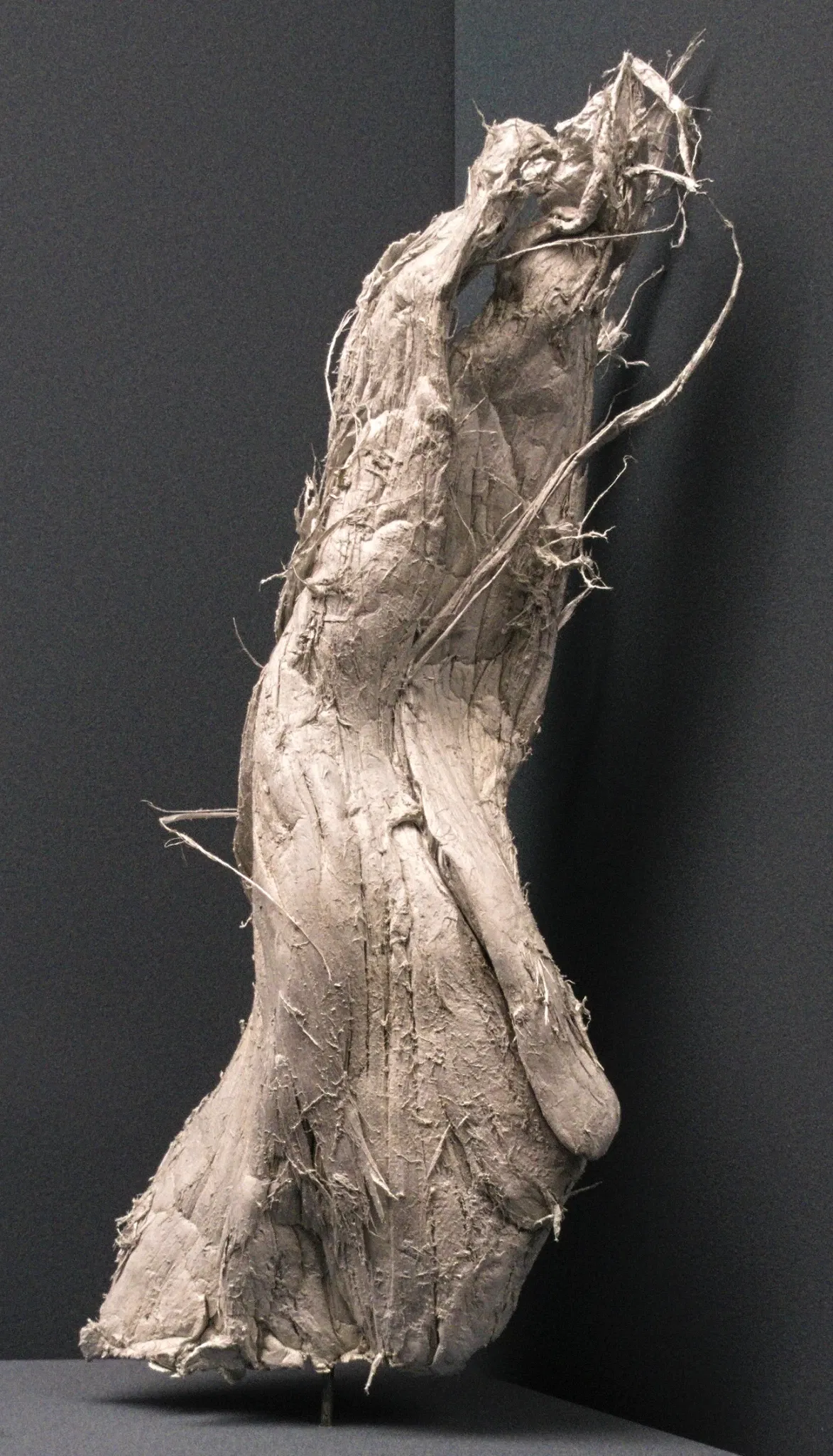 Bündner Naturmuseum