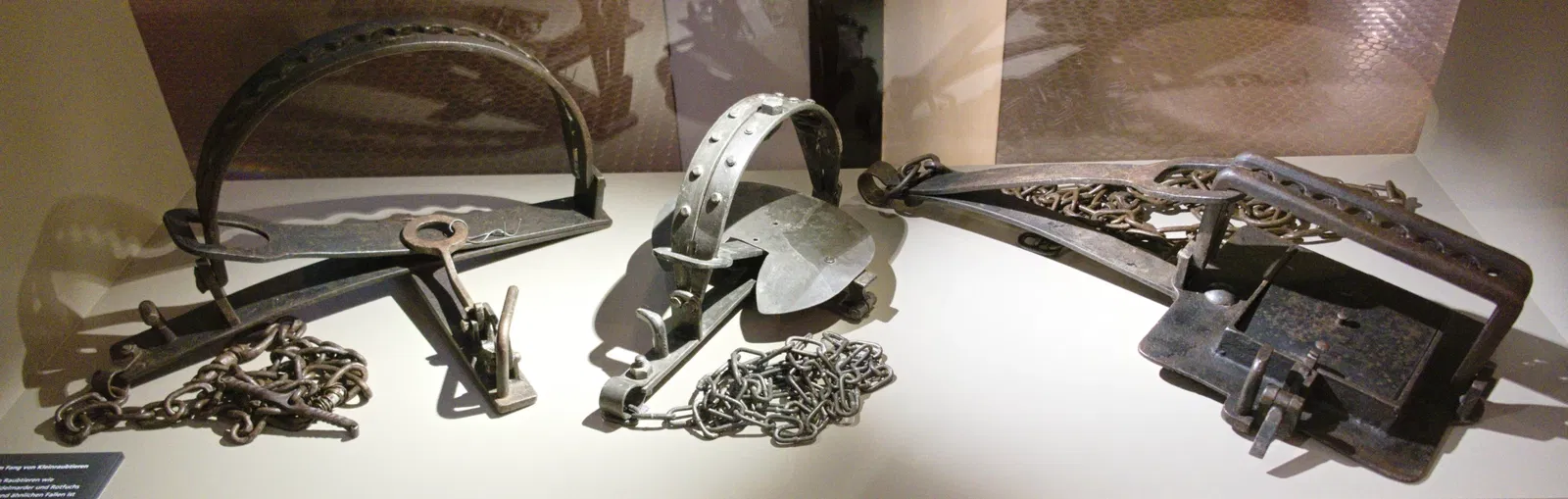 Bündner Naturmuseum