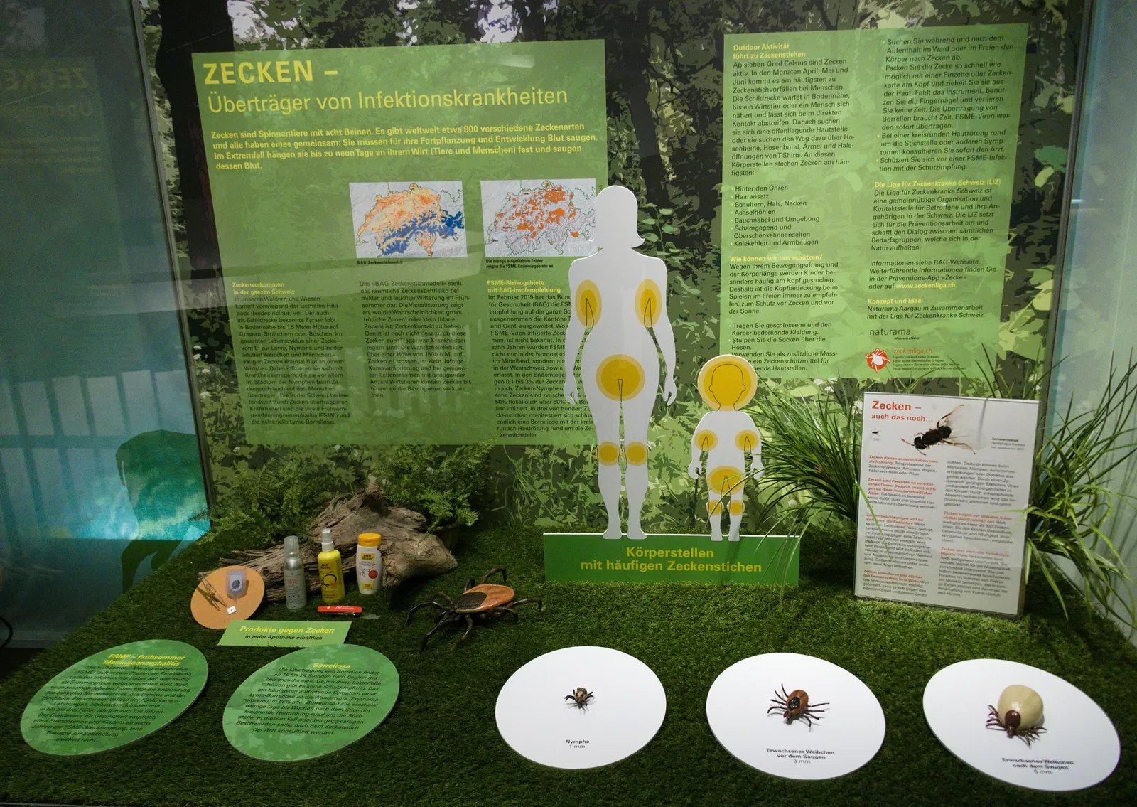 Bündner Naturmuseum