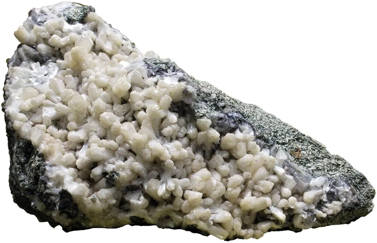 Bündner Naturmuseum