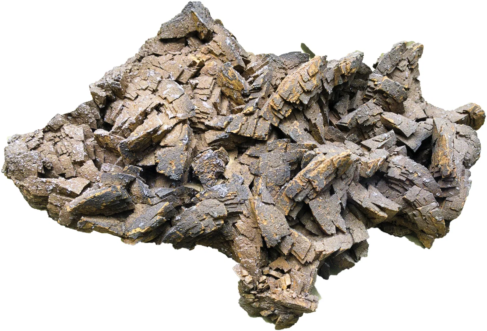 Bündner Naturmuseum