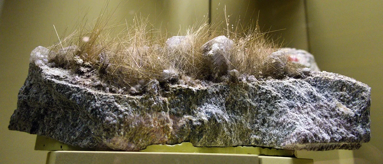 Bündner Naturmuseum