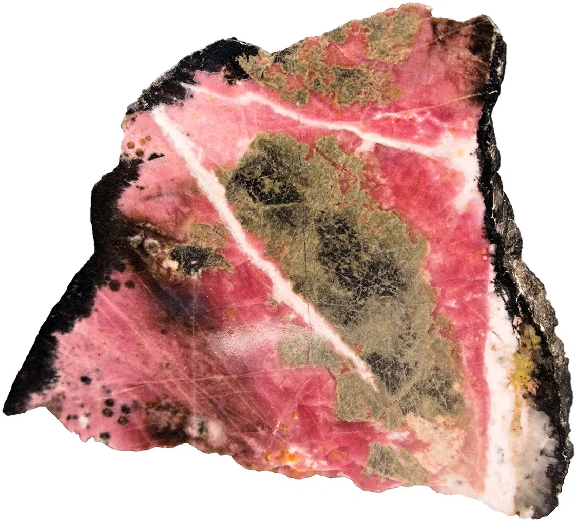 Bündner Naturmuseum