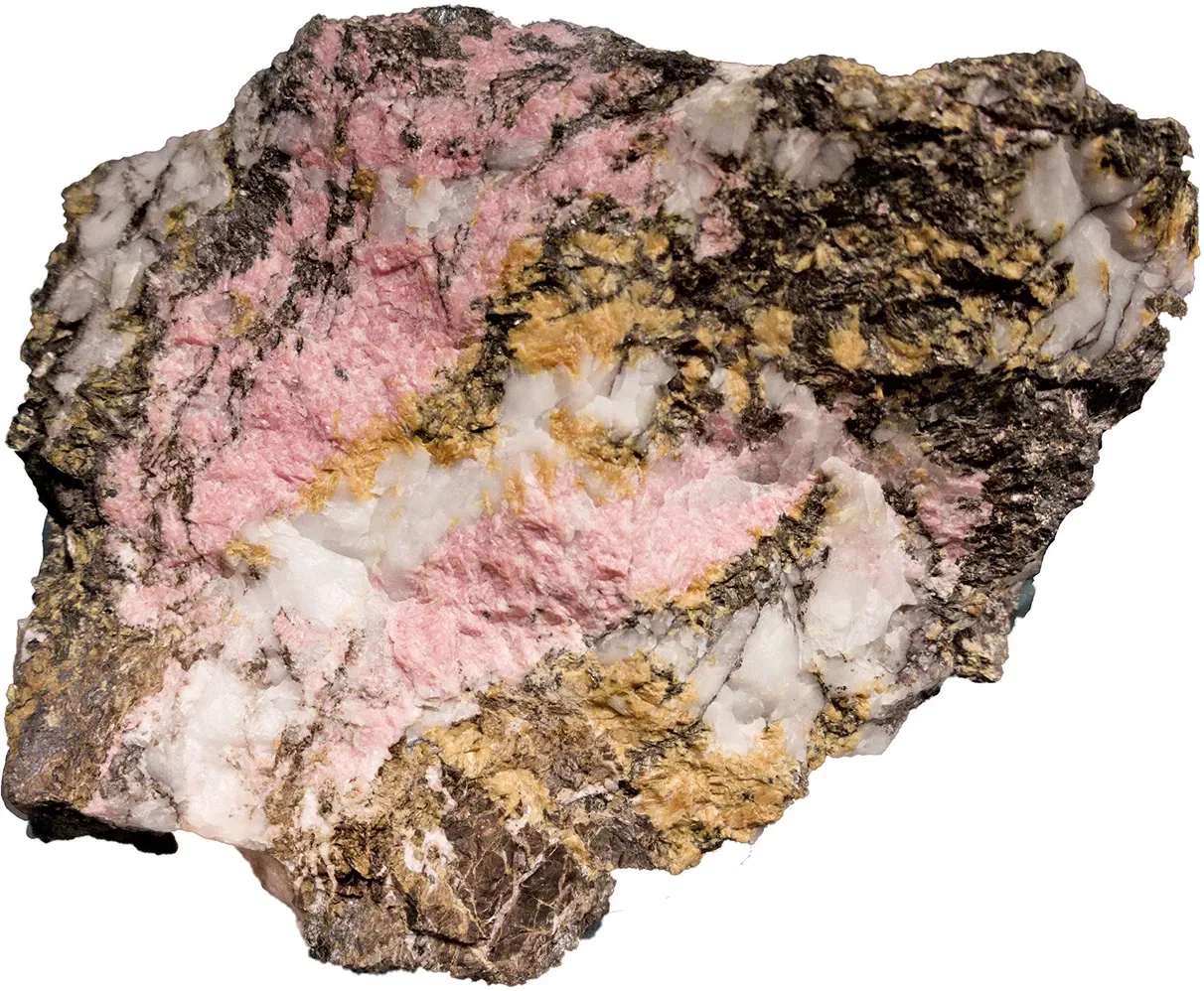 Bündner Naturmuseum