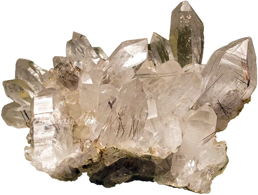 Bündner Naturmuseum