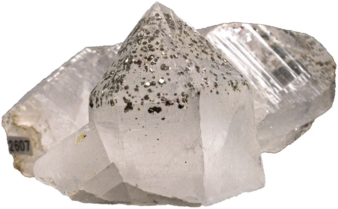 Bündner Naturmuseum