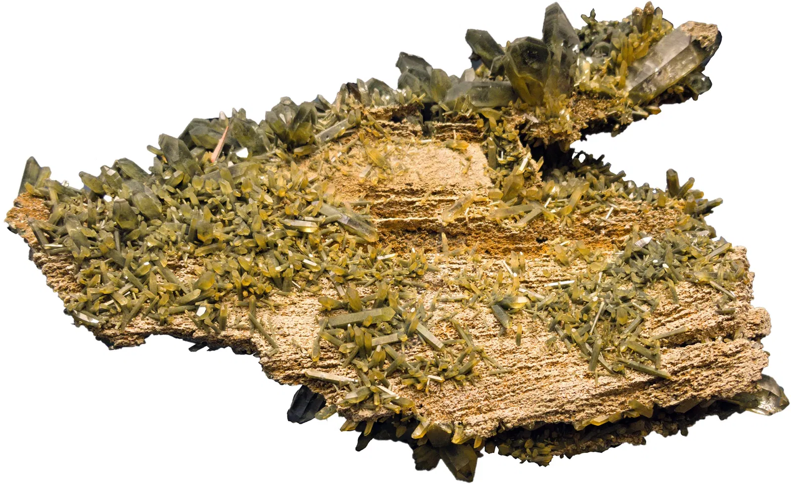 Bündner Naturmuseum