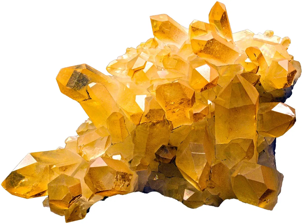 Bündner Naturmuseum