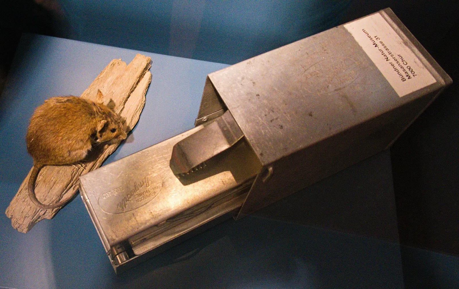 Bündner Naturmuseum