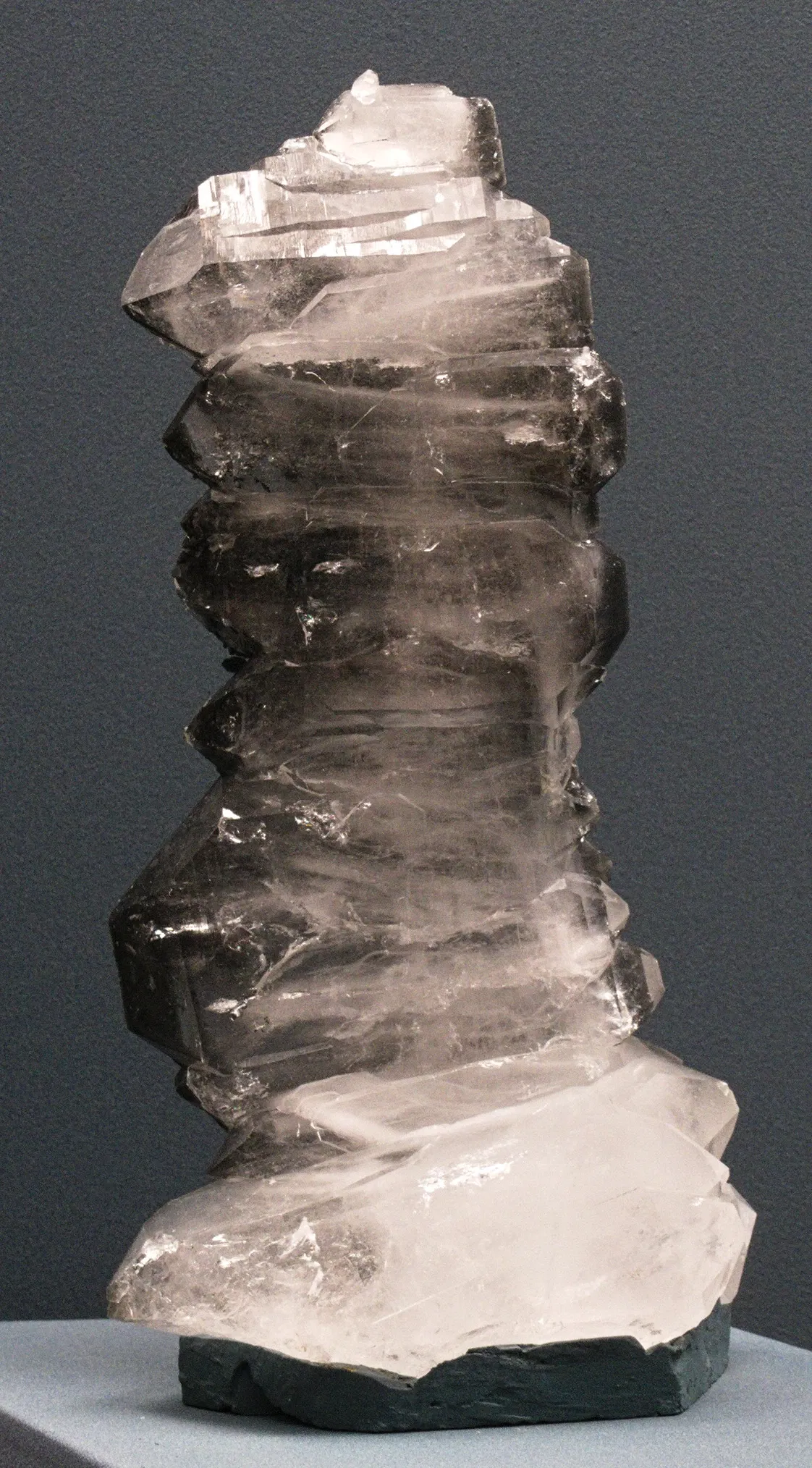 Bündner Naturmuseum