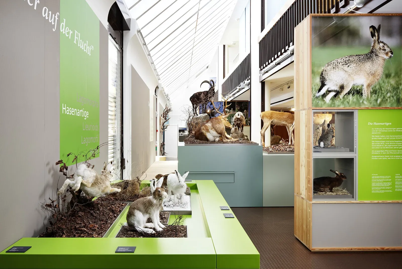 Bündner Naturmuseum