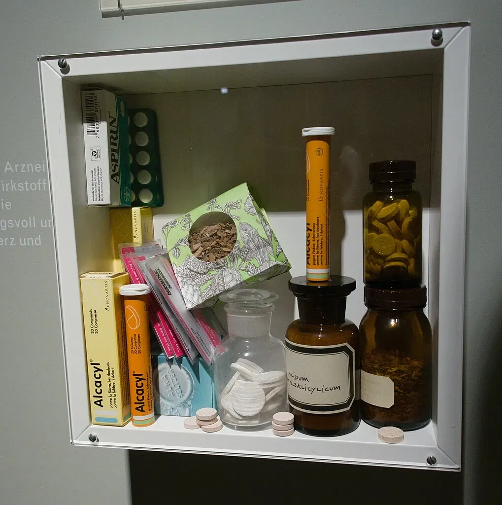 Bündner Naturmuseum