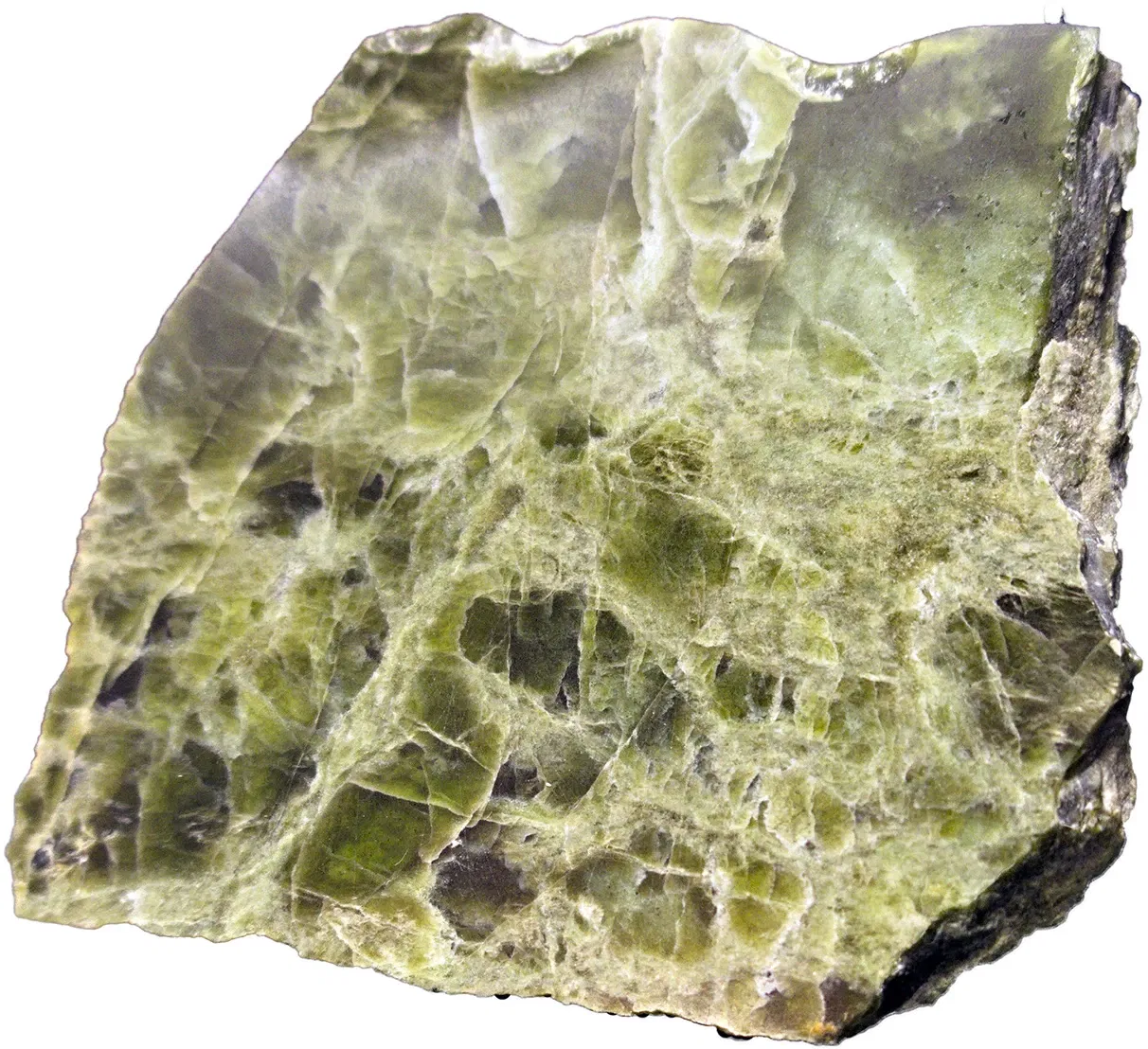 Bündner Naturmuseum