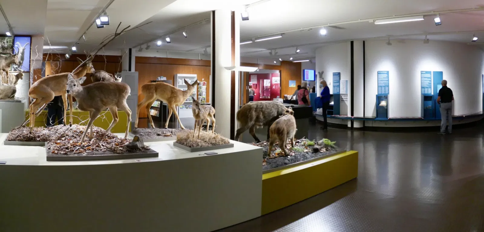 Bündner Naturmuseum