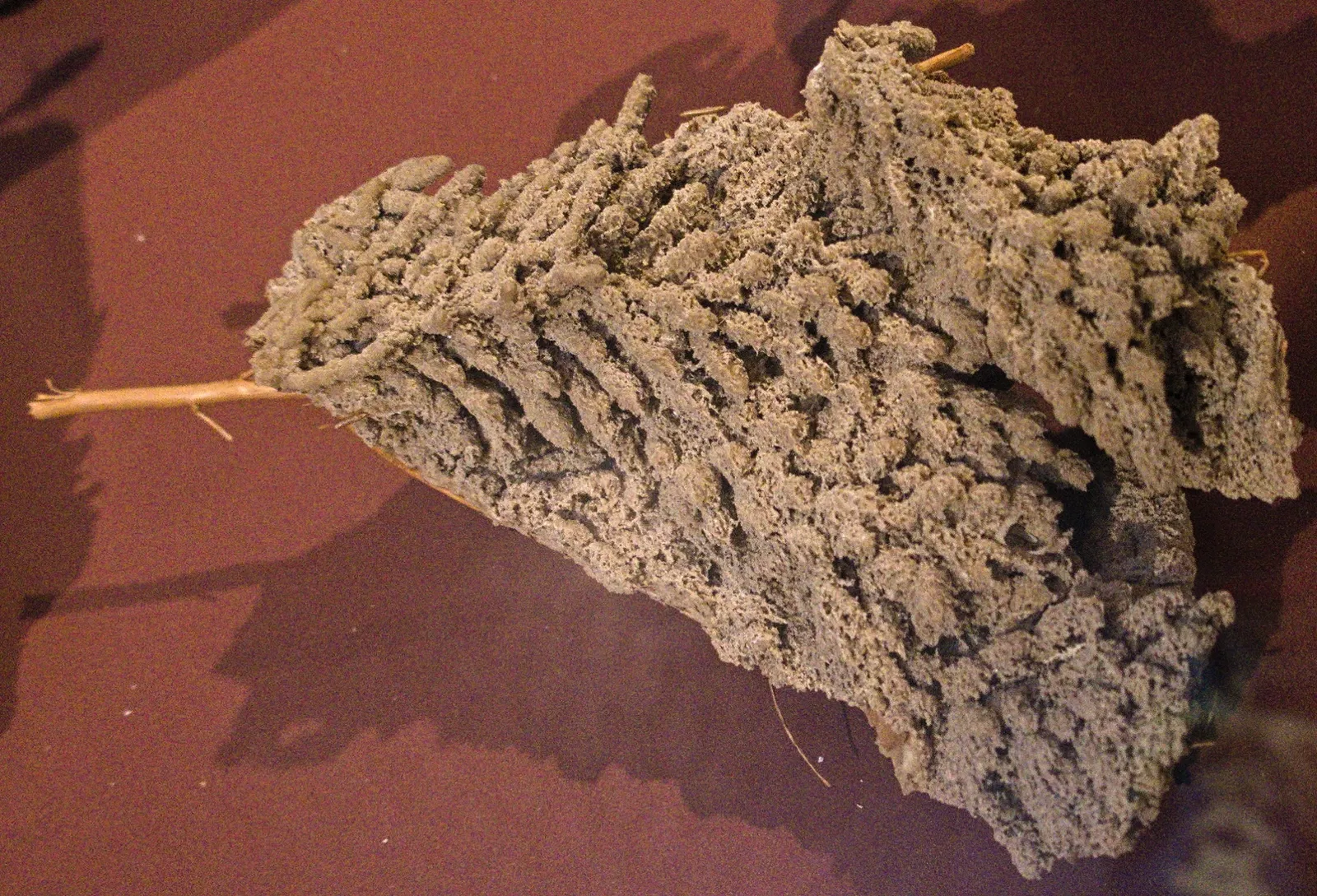 Bündner Naturmuseum