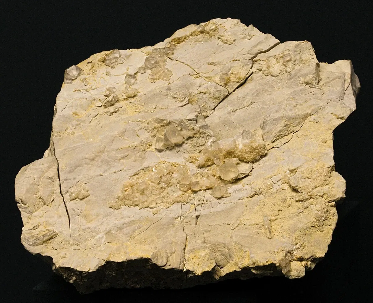 Bündner Naturmuseum