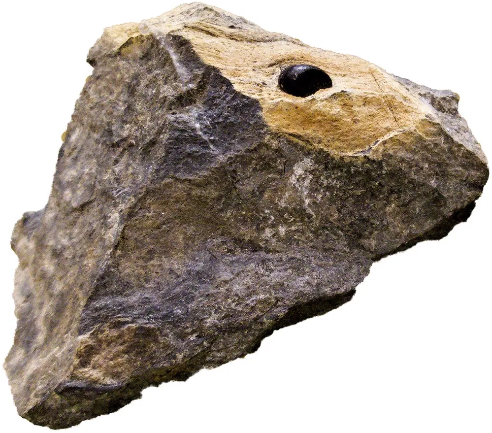 Bündner Naturmuseum