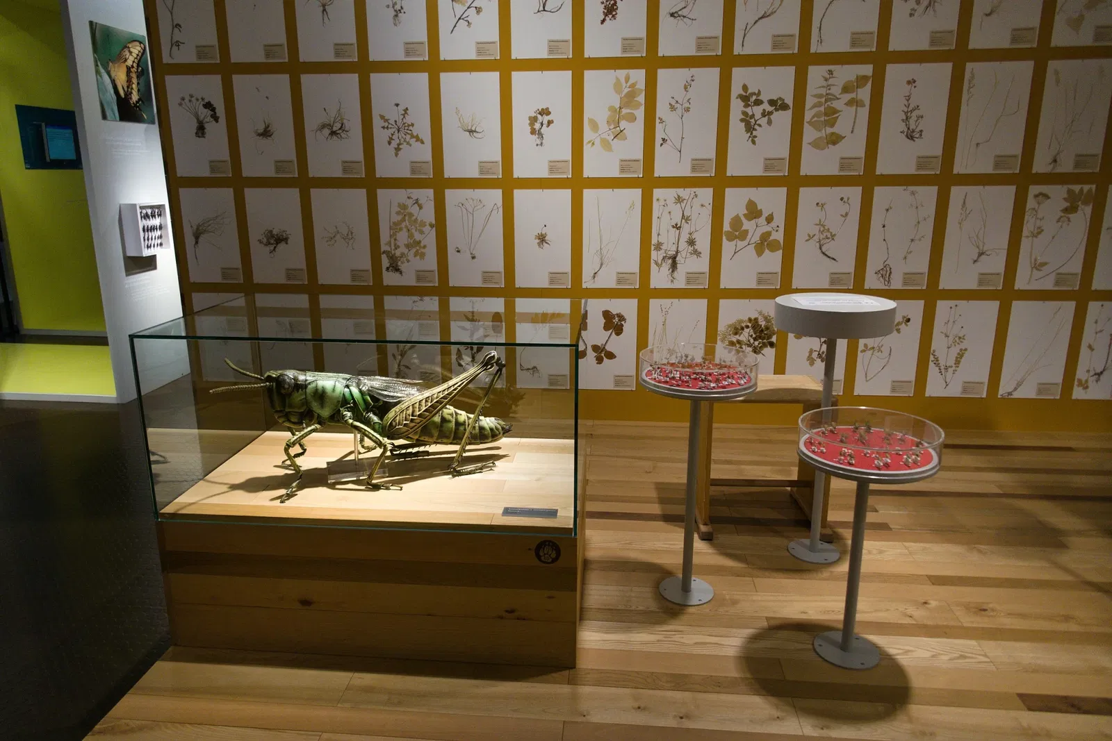 Bündner Naturmuseum