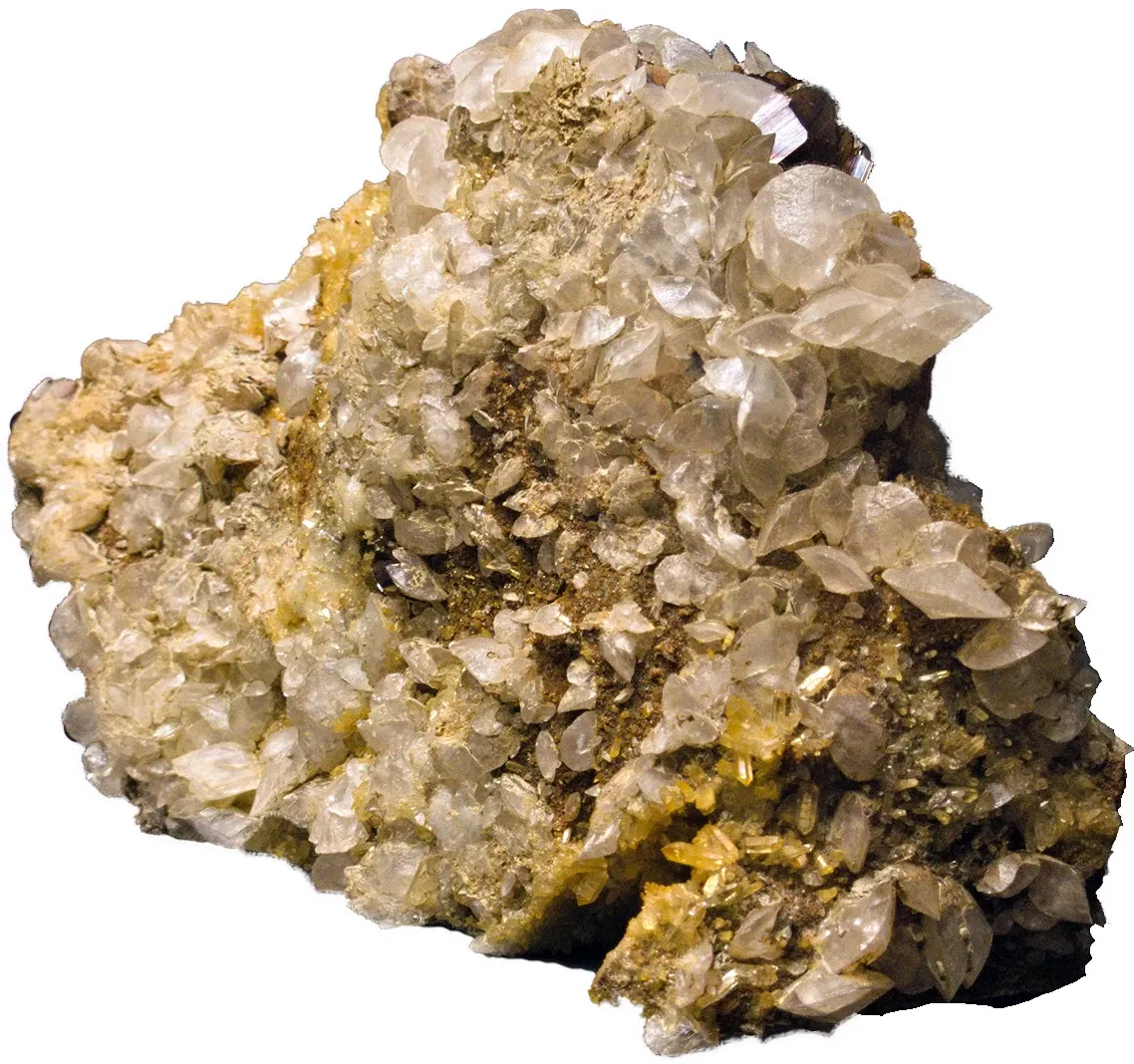 Bündner Naturmuseum