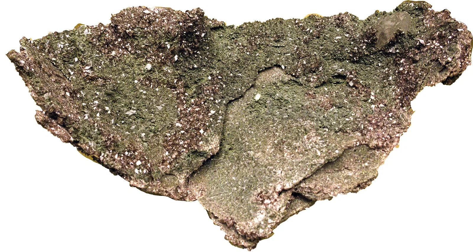 Bündner Naturmuseum