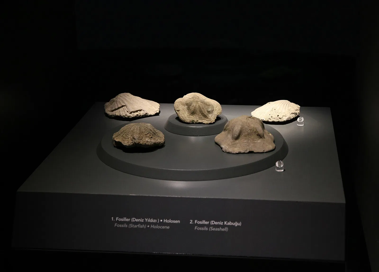 Archäologisches Museum Adana