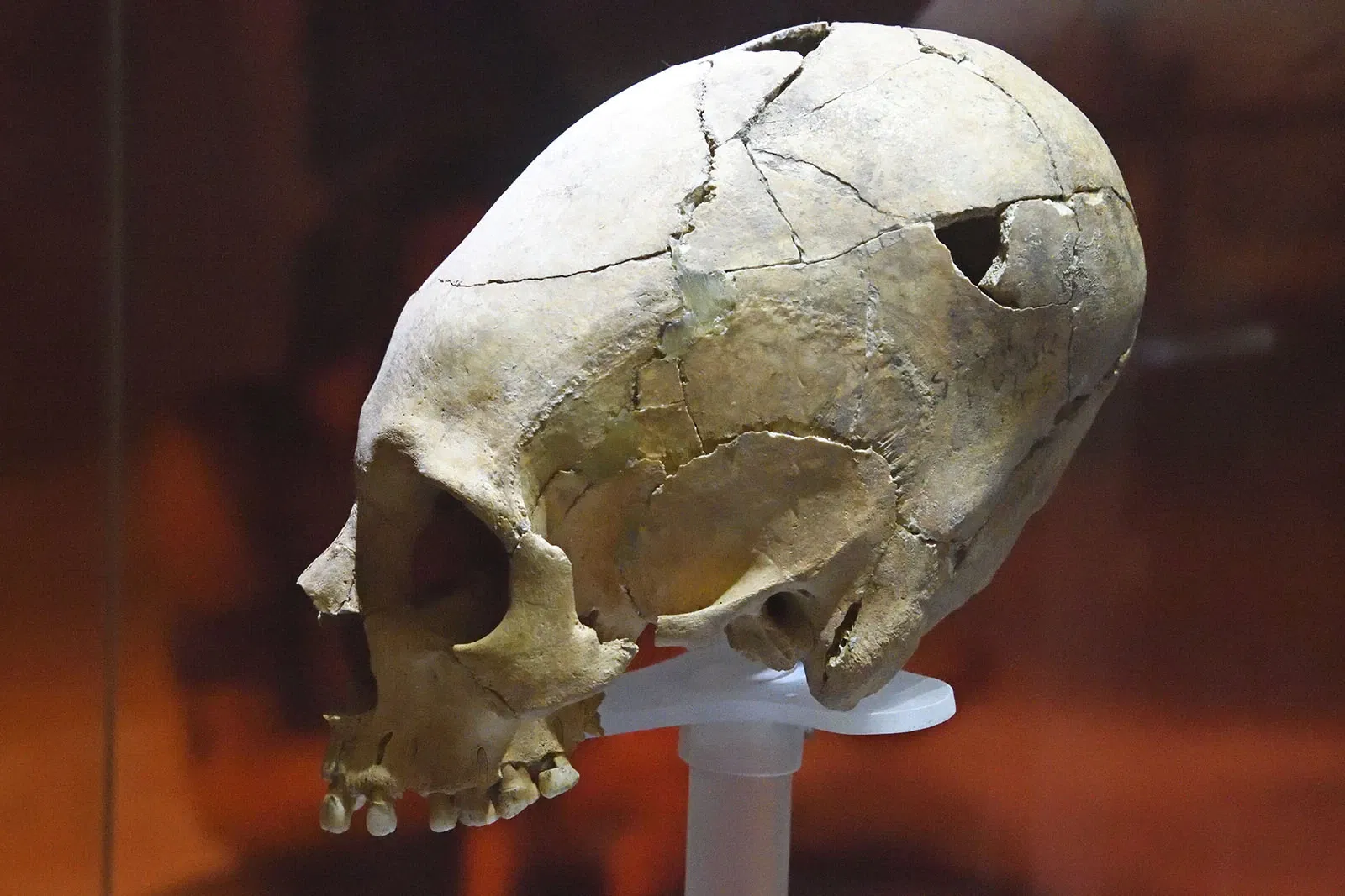 Museo Arqueológico de Hatay