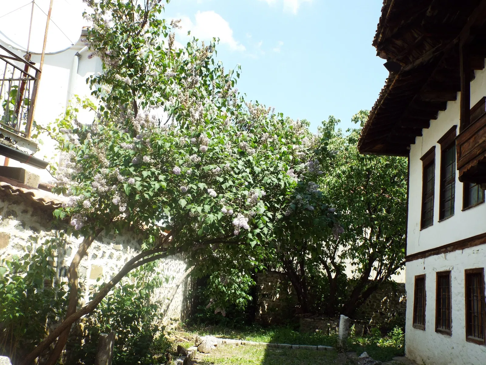 Museo Arqueológico de Korçë