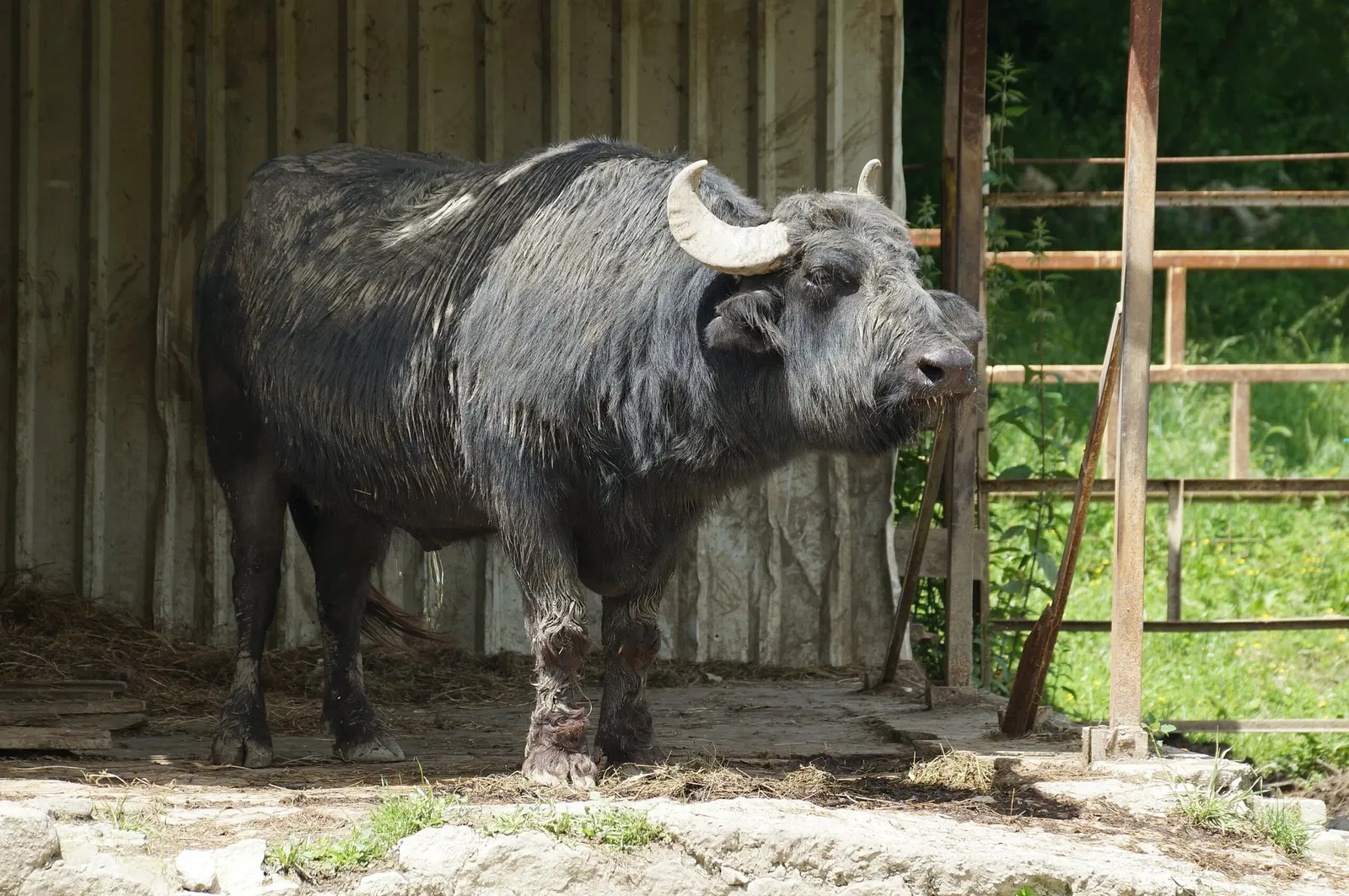 Parque zoológico de Tirana