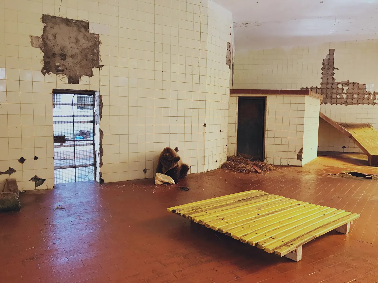 Parque zoológico de Tirana