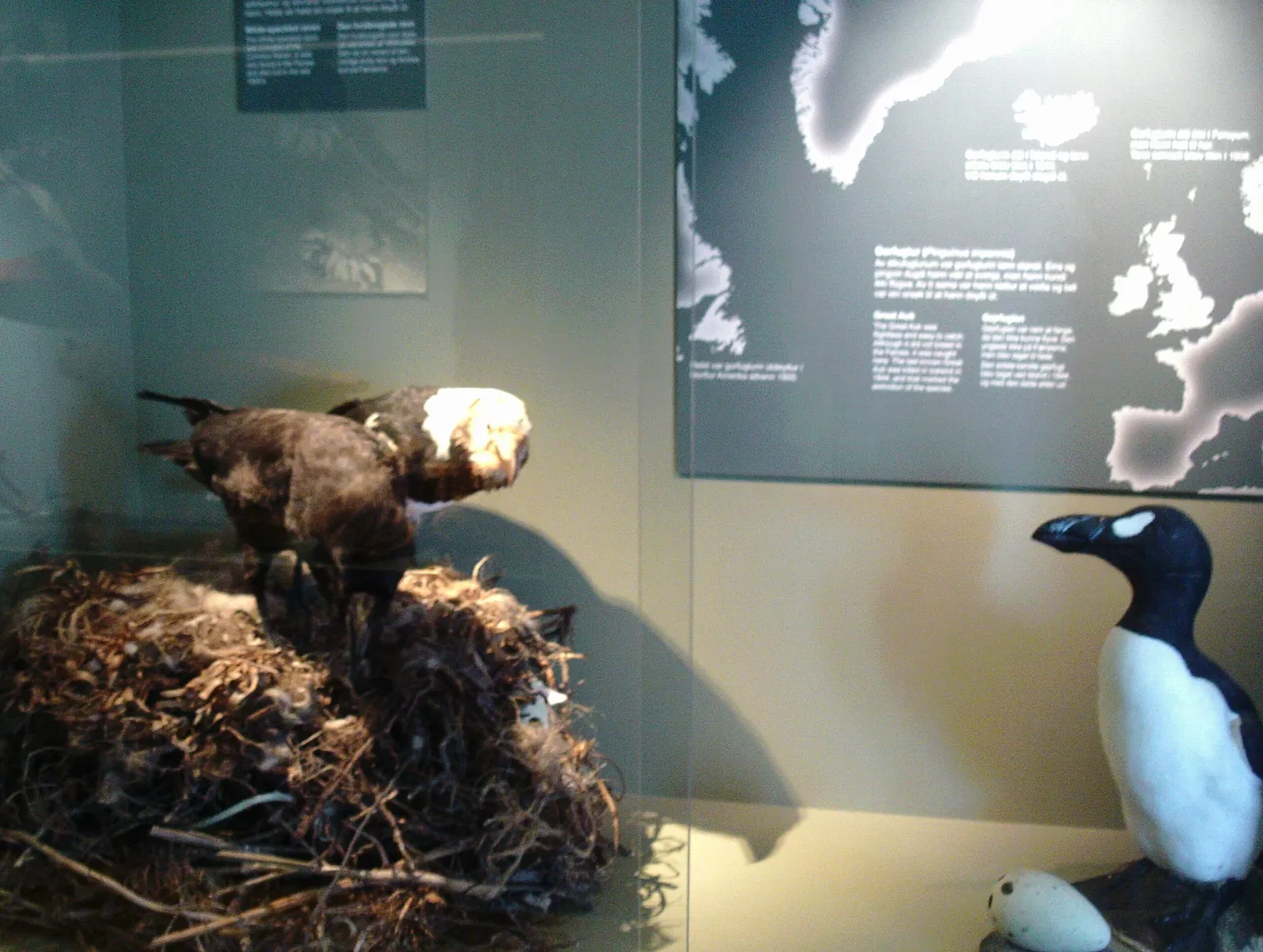 Historisches Museum der Färöer