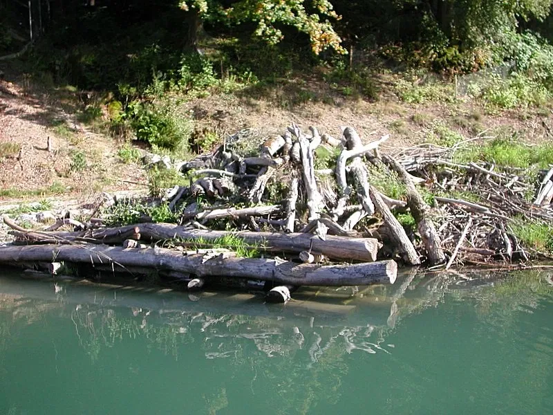 Tierpark Bern - Dählhölzli Zoo