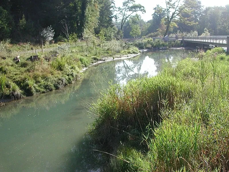 Parc zoologique Dählhölzli