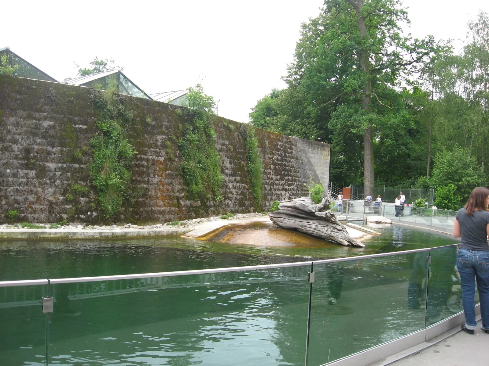 Tierpark Bern - Dählhölzli Zoo