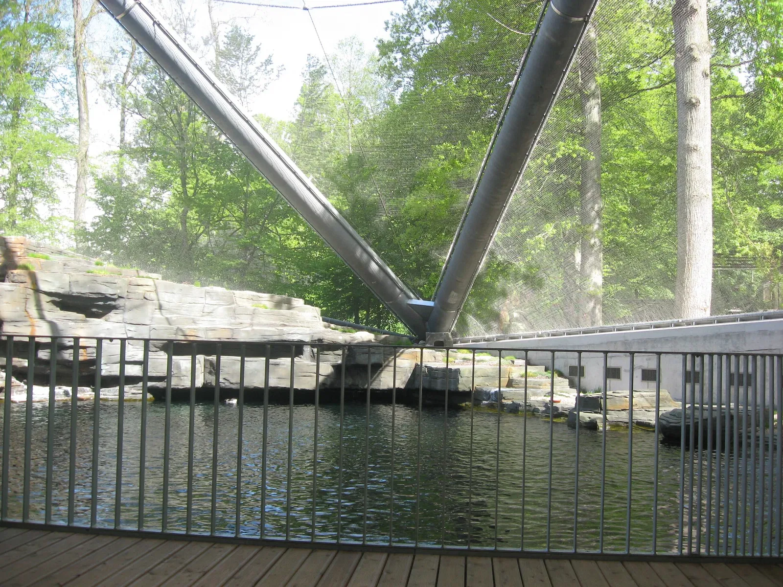 Tierpark Bern - Dählhölzli Zoo