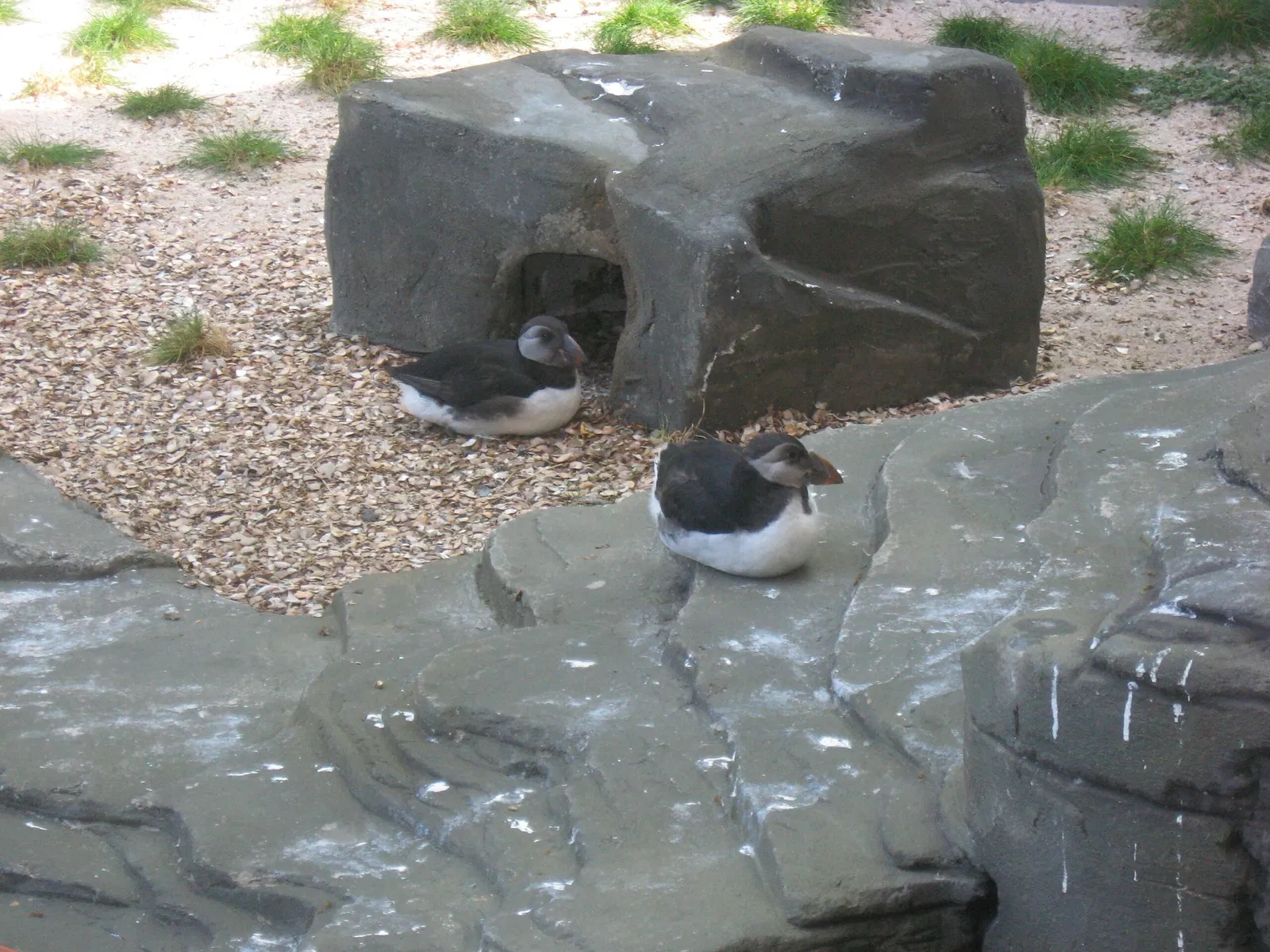 Tierpark Bern - Dählhölzli Zoo
